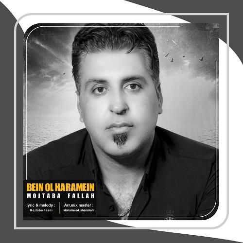 مجتبی فلاح بین‌ الحرمین